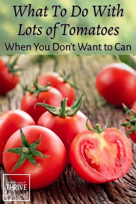 Tomato Harvest Ideas, How To Store Garden Tomatoes, How To Use Up Fresh Tomatoes, Best Way To Preserve Tomatoes, How To Put Up Fresh Tomatoes, How Do You Freeze Fresh Tomatoes, How To Save Tomatoes, Fresh Tomato Freezer Recipes, Ways To Use Garden Tomatoes