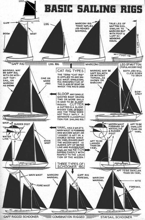 Sail Boat, Boat Plans, Sailing, White, Black