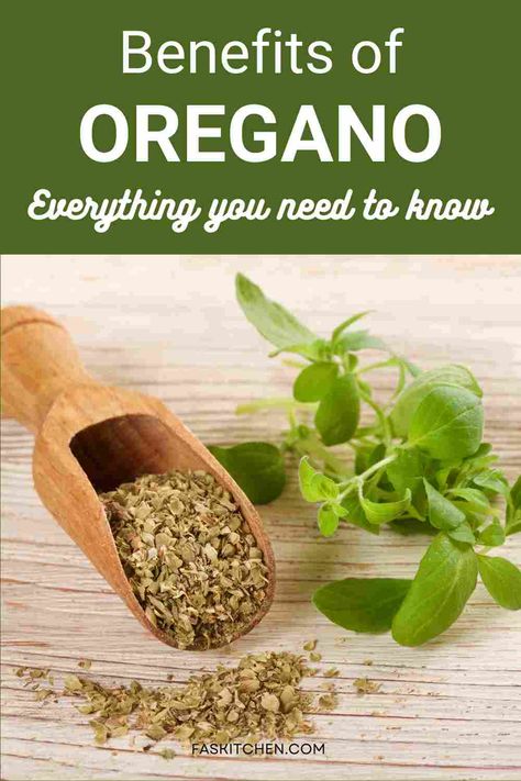 A visually appealing pin featuring Oregano 101: Nutrition, Benefits, How To Use, Buy, Store. A guide to maximize the use of this versatile herb in your culinary journey. #Oregano #Herbs #HealthyLiving Benefits Of Oregano, Pizza Spices, Onion Benefits Health, Herbs For Chickens, Growing Oregano, Dandelion Benefits, Hands Of Time, Chia Seeds Benefits, Spaghetti Dinner