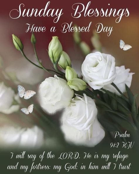 Sunday Blessings Images, Blessed Sunday Quotes, Blessed Sunday Morning, Morning Sayings, Sunday Morning Quotes, Prayer Images, Sunday Greetings, Have A Blessed Sunday, Sunday Wishes