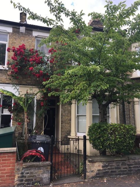 Front garden inspiration (from a nutter) for our East London terrace house – The Awkward Gardener Curb Appeal Townhouse, London Front Garden, Small Terrace House Front Garden, Front Garden Inspiration, Terrace Front Garden, Terrace House Front Garden, Small Front Garden Ideas Uk, Terraced House Front Garden, Victorian Terrace Front Garden