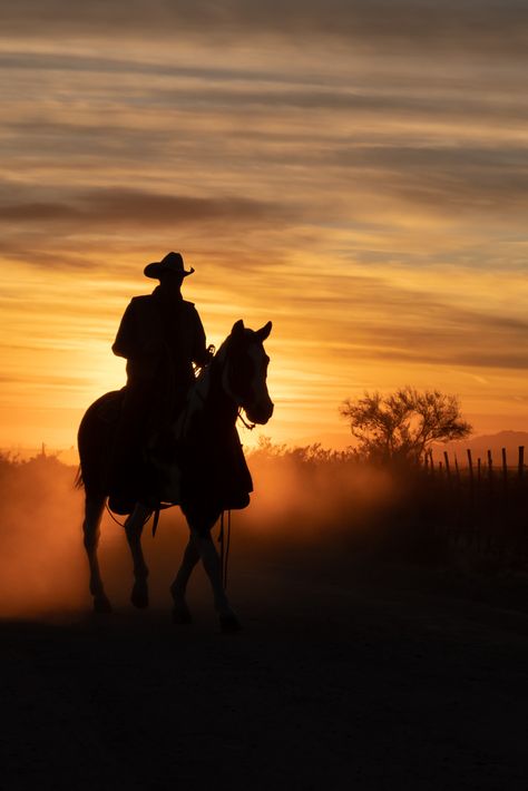 Martha Lyle - Fstoppers Photo of The Day for Sep 13 2023 #fstoppers #PotD Cowboy heading home after a cattle round up in Arizona Horse And Cowboy Silhouette, Cowboy Man Cave, Cowboys Aesthetic, Arizona Cowboy, Cowboy Scene, Cowboy Photos, Cowboy Camp, Old Truck Photography, Cowboy Wisdom