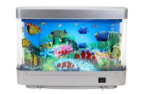 Aquarium Lamp, Tropical Fish Aquarium, Fish Aquarium, Tropical Fish, Multi Colored, Motion, Fish, Water