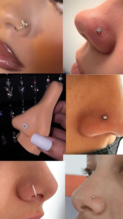 Nose Piercing Inspo Stud, Nose Piercing Stud Both Sides, Cute Nose Piercings Ideas, Nose Piercing Big Nose, Nose Piercings Ideas, Nice Piercings, Nose Piercing Ideas, Getting Money, Cute Nose Piercings