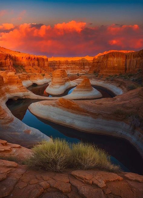 Lake Powell Utah, Utah Vacation, Outdoor Paradise, Gorgeous Scenery, Lake Powell, States In America, Landscape Scenery, Explore Nature, Healing Energy