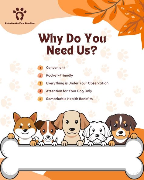 Don’t compromise on the grooming services of your pet friends. #dogspa #cleanpets #clean Dog Spa, Dog Care, Pet Grooming, Your Pet, Dog Grooming, Do You Need, Dog Love, Health Benefits, Pet