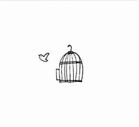 cage bird Bird Doodle, 심플한 그림, Arte Doodle, Bird Quotes, Marjolein Bastin, Small Drawings, The Cage, Little Doodles, Mini Drawings