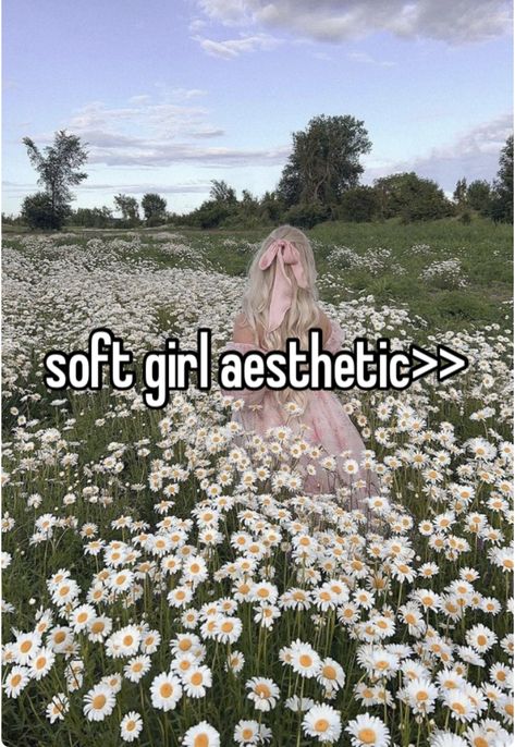 Softgirl Era Quotes, Aesthetic Girl Pfp Soft, Soft Girl Aesthetic Quotes, Soft Girl Era Quotes, Soft Girl Affirmations, Study Desk Decor, Paris Girl, Soft Girl Aesthetic, Soft Girl