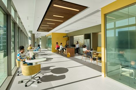 Emory University - R. Randall Rollins Building Higher Education Interior Design, Active Learning Classroom, Fritted Glass, Function Hall, School Interior, Social Space, Multipurpose Room, Solar Heating, Education Design