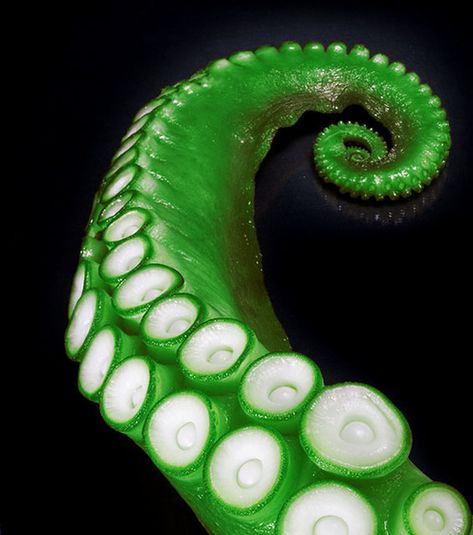 Green Monster Aesthetic, Tentacle Aesthetic, Remus Core, Tentacle Creature, Green Tentacles, Octopus Anatomy, Science Core, Cerulean Sea, Green Octopus