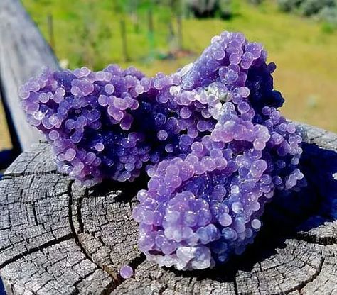 Agate Meaning, Grape Agate, Crystal Vibes, Rough Gems, Magic Stones, Crystal Aesthetic, Pretty Rocks, Crystal Therapy, Crystal Geode