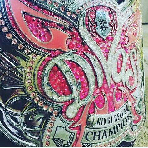 Divas Championship Belt, Wwe Nikki Bella, Divas Championship, Wwe Women's Championship, Total Diva, Female Wrestling, Fearless Era, Nikki And Brie Bella, Lucha Underground