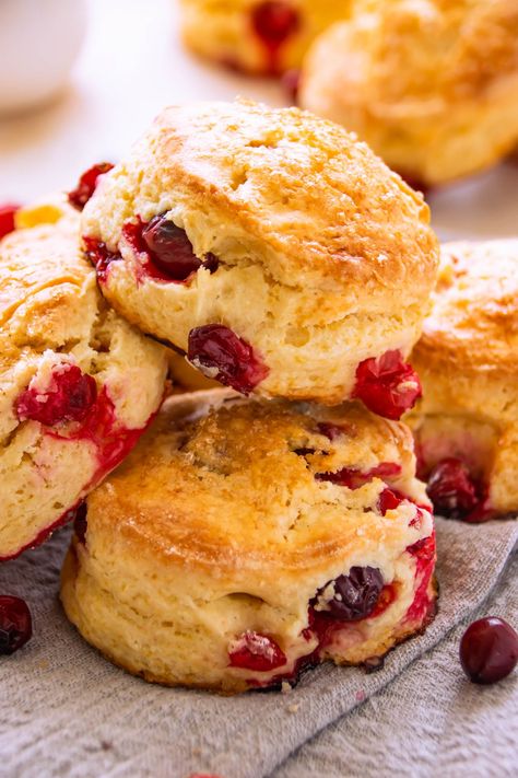 Easy Cranberry Yogurt Scones {Fail Proof Recipe!} | Foodelicacy Cranberry Yogurt, Yogurt Scones, Cranberry Scone, Scone Dough, Cranberry Cinnamon, Cranberry Orange Scones, Cranberry Scones, Scones Recipe Easy, Chocolate Scones