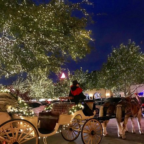 Highland Park Village on Instagram: “It's the beginning of Carriage Ride season in HP Village! Schedule your ride with @threejayscarriages to enjoy our magical Christmas lights…” Christmas Carriage, Highland Park Dallas, Highland Park Village, Carriage Ride, Village Christmas, New Years Wedding, Cute Date Ideas, Mormon Temple, Christmas Villages