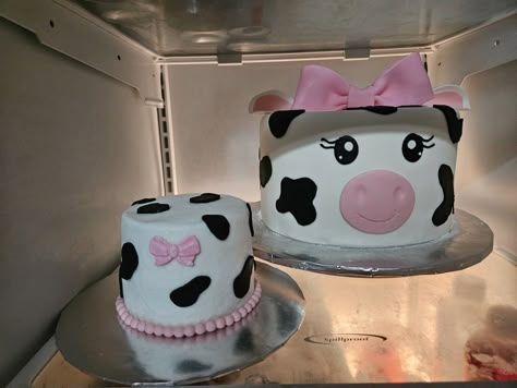 1st bday cow cake and matching smash cake Cow Print 1st Birthday Cake, Diy Cow Smash Cake, Small Cow Cake, Holy Cow I’m One Smash Cake Girl, Cow Print Smash Cake Girl, First Rodeo Cake Girl, Cow Themed Smash Cake, Moo I’m Two, Holy Cow I’m One Cake Ideas