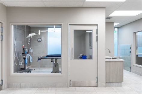 Animal Hospital Design, Vet Design, Wildlife Hospital, Vet Office Decor, Waiting Room Design, Veterinary Surgery, Animal Clinic, Medical Office Design, Large Door