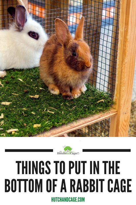 Rabbit Playground, Diy Bunny Cage, Bunny Care Tips, Diy Rabbit Cage, Indoor Rabbit Cage, Diy Rabbit Hutch, Show Rabbits, Rabbit Enclosure, Rabbit Habitat