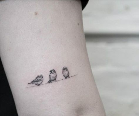 Small Robin Tattoo Black And White, Goldfinch Tattoo Black And White, Three Birds On A Branch Tattoo, Wren Tattoo Simple, Bird Fine Line Tattoo, Three Bird Tattoo, Birds On A Branch Tattoo, Bird Tattoo Color, Goldfinch Tattoo