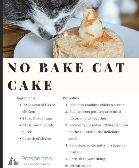 Cat Cakes For Cats, Homemade Cat Birthday Cake, Cat Birthday Cake Recipe, Homemade Cat Cake, Cat Cake Recipe, Cat Homemade Treats, Healthy Food For Cats, Food For Cats Homemade, Best Cat Treats