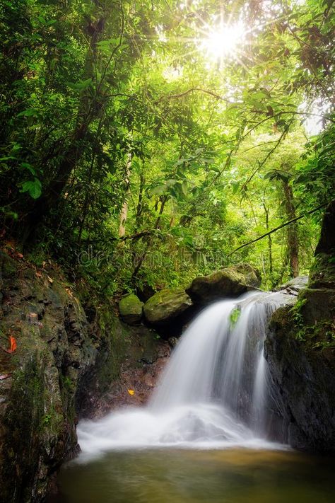 Gunung Leuser National Park, Green Waterfall, Jungle Hike, Cascade Waterfall, The Rainforest, King Kong, Ecology, Free Stock Photos, Enchanted