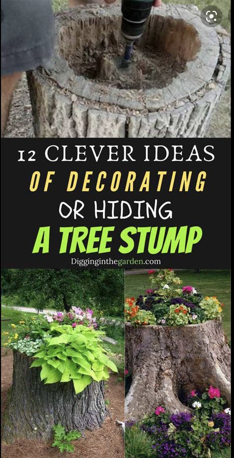 Decorate A Tree Stump, Tree Logs Ideas Outdoor, Ideas With Tree Stumps, Garden Ideas With Tree Stumps, Tree Trunk Ideas, Stump Garden, Stump Decor, Tree Stump Decor, Stump Planter