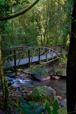 Walking Bridge Over Creek, Bridge Over Creek, Garden Bridges, Walking Bridge, Old Bridges, Cave Creek, Garden Walkway, Wooden Bridge, Bridge Design