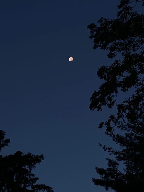 I love the darken feature. Even though its the early morning I darkened the photo to get a better photo of the moon. Whatsapp Chatting Images, Whatsapp Chatting, Moon Emoji, Morning Moon, Moon Photo, Moon Quotes, Moon Images, Moon Photos, Moon Photography