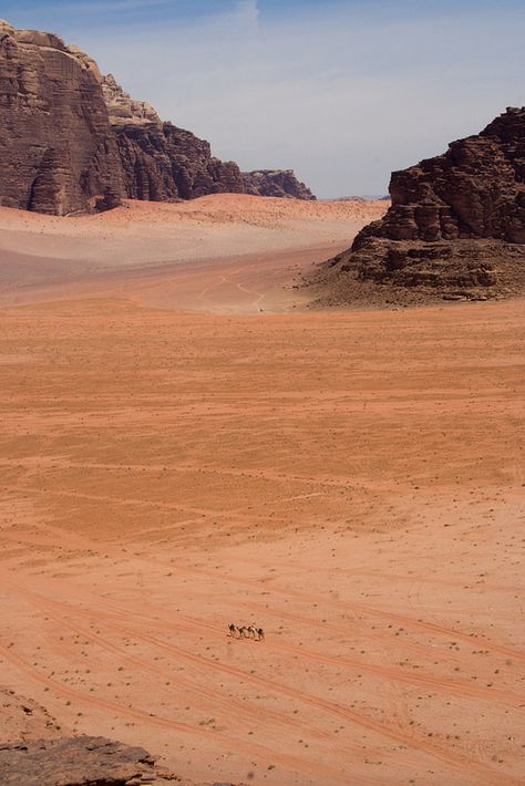 Wadi Rum Desert, Jordan. Where the movie The Martian was filmed. Petra Travel, Casino Jackpot, Deserts Of The World, Desert Environment, Jordan Travel, Desert Dream, Desert Life, Wadi Rum, Desert Oasis