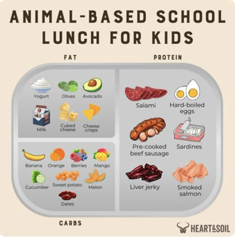 Animal based school lunch for kids Animal Diet, Healthy Balanced Meals, Pro Metabolic, Kids Lunch Box Meals, Lunch Snack Ideas, Animal Based Diet, Primal Diet, Protein Yogurt, Caveman Diet