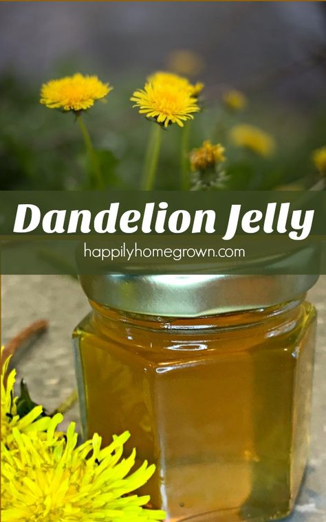 Dandelion Jam, Herbal Jelly, Dandelion Jelly, Lemonade Recipe, Homemade Biscuits, Jelly Recipes, Dandelion Recipes, Jams & Jellies, Recipe For Mom