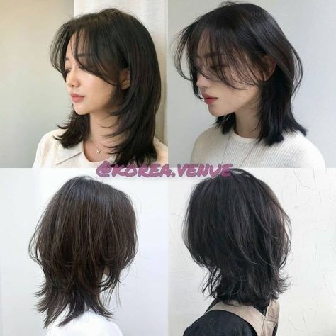 Wolf Haircut Short Straight, Mullet X Wolfcut Haircut, Short Hair With A Lot Of Layers, Wolf Cut Inspo Medium, Wolf Cut Hair Short Mullet Style, Shoulder Length Mullet Shag, Short Haircuts Asian, Mullet X Wolf Cut, Mullet Hairstyle Straight Hair