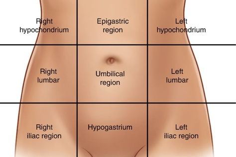 The skin of the abdomen is divided into 9 regions, called abdominals: 3 median (epigastrium, peri-umbilical region and hypogastrium)... Abdominal Regions, Ovulation Pain, Sigmoid Colon, Brain Surgeon, Natural Face Cleanser, Human Body Anatomy, Nursing School Studying, Learning Techniques, Abdominal Pain