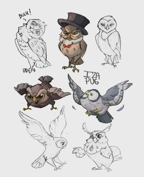 Owls Character Design, Owl Beak Drawing, Cute Owl Drawing Cartoon, Owl Cartoon Character Design, Owl Drawing Reference, Owl Design Drawing, Owl Concept Art, Owl Animation, Owl Character Design