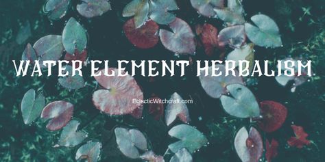 These water element herbs are the perfect way to tap into the life-giving power of water. Cleanse and purify yourself and your home with... Witchcraft Water, Benefits Of Burning Sage, Eclectic Witchcraft, Herbs And Plants, Sage Plant, Edible Wild Plants, Burning Sage, Natural Magic, Healing Spells