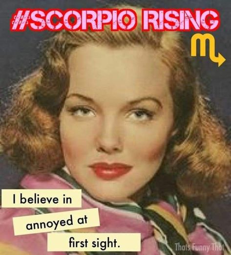 ❤️- The Cosmic🦉 Classical Quotes, Retro Sayings, Vintage Sayings, Sarcastic Ecards, Anne Taintor, Work Quotes Funny, This Is Your Life, Funny Quotes Sarcasm, Memes Sarcastic