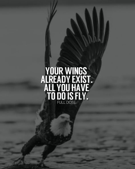 Business | Entrepreneur on Instagram: “👉Don't be afraid to try and soar, your wings already exist. All you need to do is fly. Too often people let fear of failure stop them from…” Eagles Quotes, Life Quotes Relationships, Fear Of Flying, Eagle Pictures, Warrior Quotes, Leadership Quotes, Entrepreneur Quotes, Attitude Quotes, Be Yourself Quotes