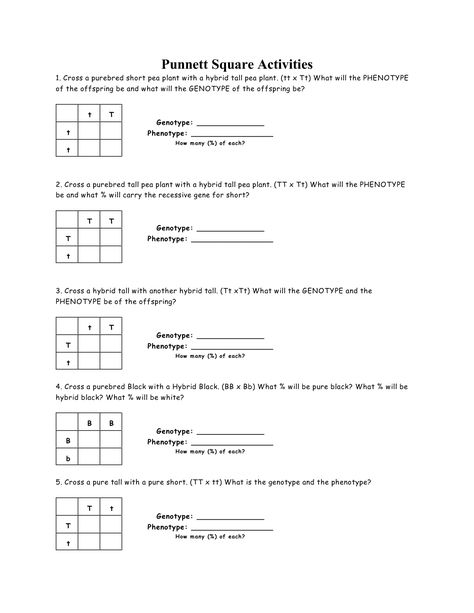 Punnett Square Activity, Dihybrid Cross Worksheet, Square Worksheet, Punnett Square, Life Science Middle School, Sentences Worksheet, Scientific Method Worksheet, Persuasive Writing Prompts, Punnett Squares