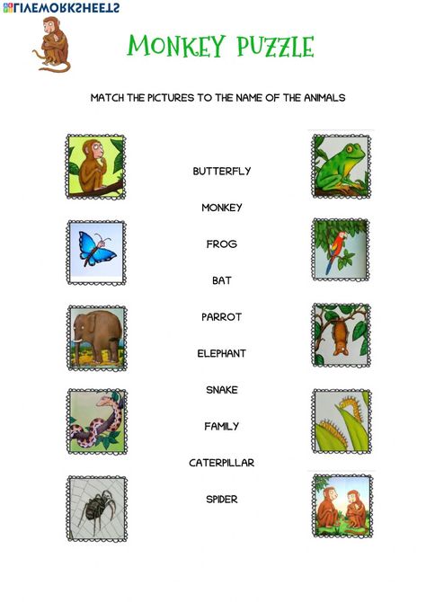 Monkey Puzzle Eyfs, Monkey Puzzle Activities, Monkey Puzzle Book, Sensory Stories, Julia Donaldson Books, Book Woman, Monkey Puzzle, Puzzle Worksheet, Julia Donaldson