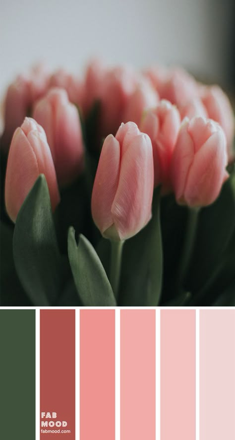 Color Inspiration : Green and Pink 1 - Fab Mood | Wedding Colours, Wedding Themes, Wedding colour palettes Taupe Color Schemes, Wedding Colour Palettes, Teal Color Schemes, Orange Color Schemes, Pink Color Palette, Blue Hair Color, Orange Color Palettes, Green Color Palette, Pink Palette