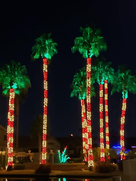 Tropical Christmas Aesthetic, Christmas In The Desert, Cali Christmas, Miami Christmas, Christmas In Florida, Florida Winter, New Years Eve Day, Holiday Lights Display, Florida Christmas