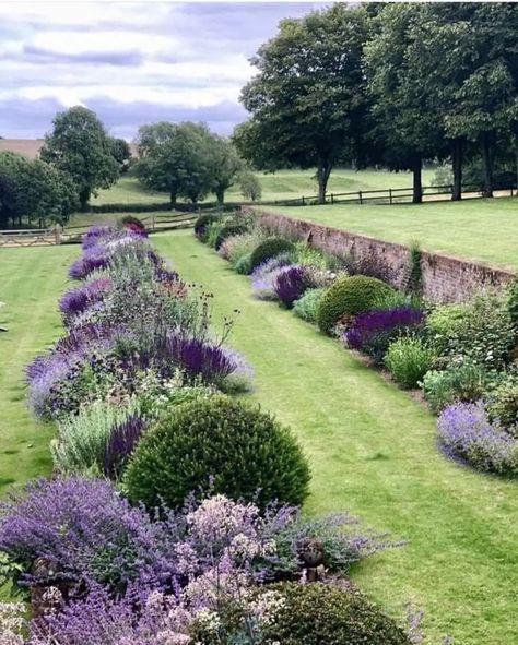 Lilac Garden Landscapes, Minimalistic Plants, Unique Landscaping, Texas Landscaping, Dream House Garden, Roman Garden, Mediterranean Garden Design, Privacy Landscaping, Sunken Garden