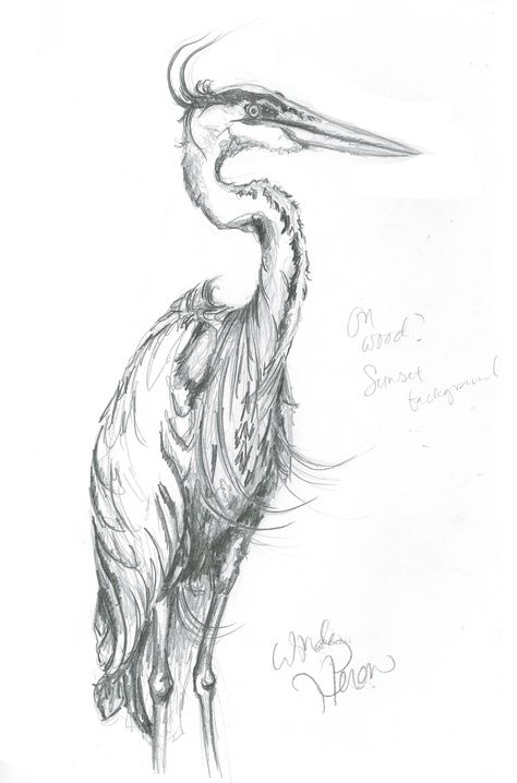 Heron Sketch, Heron Tattoo, Great Blue Heron, Vintage Sheet Music, Blue Heron, Pen Art, Sketchbook Art Inspiration, Pen Drawing, Art Drawings Simple