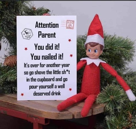 Elf On The Shelf Pictures, Funniest Pics, Elf Activities, Santa Pictures, Elf Clothes, Santa's Elves, On The Shelf, The Elf, Christmas Elf