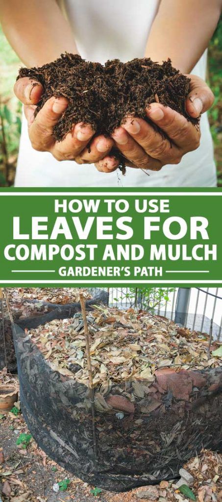 Leaf Compost, How To Start Composting, Start Composting, Making A Compost Bin, Make Compost, Leaf Mulch, Composting Methods, Garden Mulch, Diy Compost