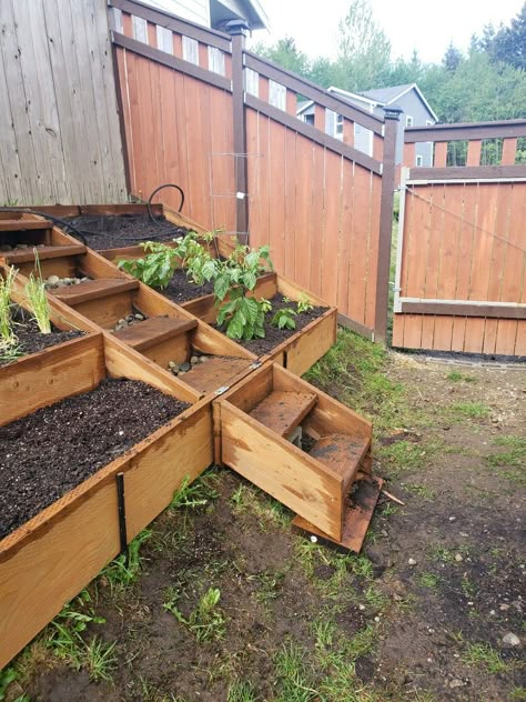 Hillside raised garden bed with bottom fold up stairs. Raised Garden Bed On Hill, Sloped Raised Garden Beds, Tiered Vegetable Garden Hillside, Hillside Raised Garden Beds, Raised Garden Beds On A Hill, Raised Garden Bed On Slope, Hill Side Garden, Garden On A Hill Sloped Yard, Garden On Hillside