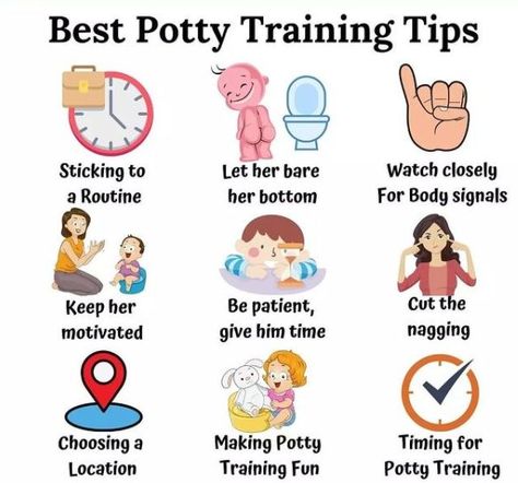 Parenting Charts, Pregnancy Illustration, Best Potty, Toddler Daycare, Teaching Responsibility, Toddler Potty, Toddler Potty Training, Potty Training Chart, Baby Information