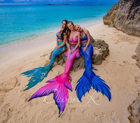 Mermaid Shoot, Mermaid Friends, Real Mermaid, Girls Mermaid Tail, Mermaid Board, Fin Fun Mermaid, Mermaid Pose, Fin Fun, Mermaid Photography