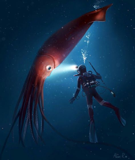 Squid with diver Colossal Squid, Creature Marine, Giant Squid, Deep Sea Creatures, Underwater Creatures, Deep Sea Fishing, Under Water, Sea Monsters, Arte Fantasy