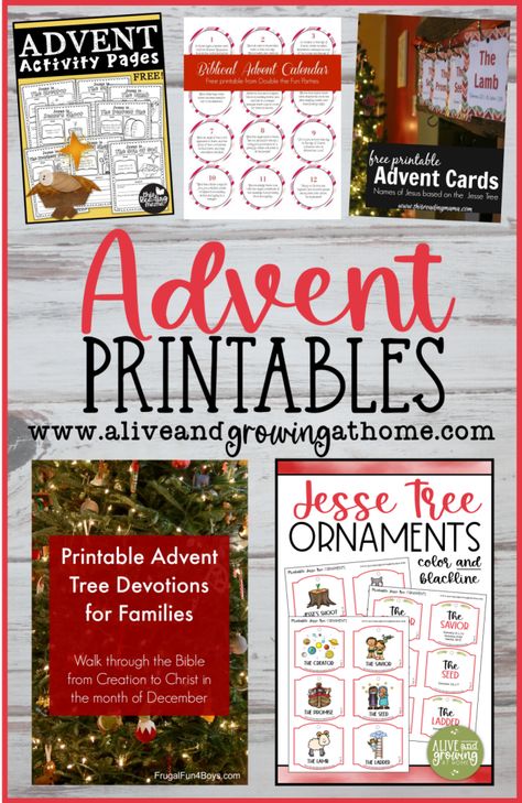 Check out these FREE Advent Printables! Free Family Advent Devotional, Weekly Advent Readings For Kids, Kids Advent Bible Verses, Advent Free Printable, Advent Readings For Kids, Advent Calendar Free, Christian Advent Activities, Advent Bible Reading Plan For Kids, Catholic Advent Activities For Kids Free Printable