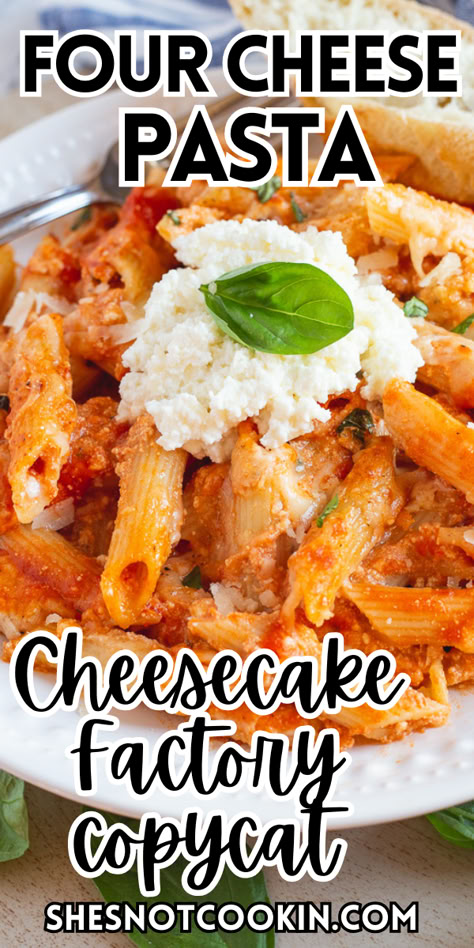 Four cheese pasta on a white plate. 4 Cheese Pasta Recipe, Cheesecake Factory 5 Cheese Pasta Recipe, Copycat Cheesecake Factory Four Cheese Pasta, 5 Cheese Pasta Recipes, 4 Cheese Pasta Cheesecake Factory, Three Cheese Penne Pasta, She’ll Pasta Recipe, Cheesecake Factory Farfalle Pasta Recipe, Cheesecake Factory Pasta Recipes